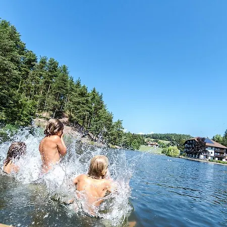 Отель Lichtenstern 3*
